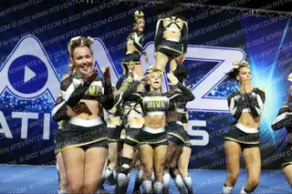 HIVE BARBEES