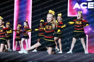 Ace of Gulf Coast Stallions