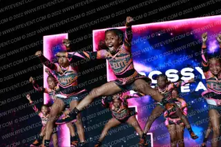 B-Elite Allstars Bossy bees