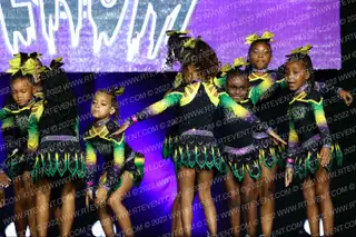 New Orleans Venom Pythons