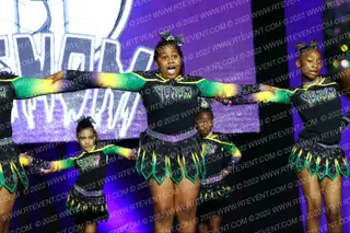 New Orleans Venom Boas