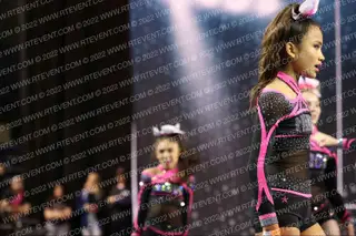 FIERCE CHEETAHS