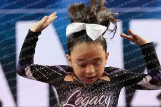LEGACY ELITE DYNASTY