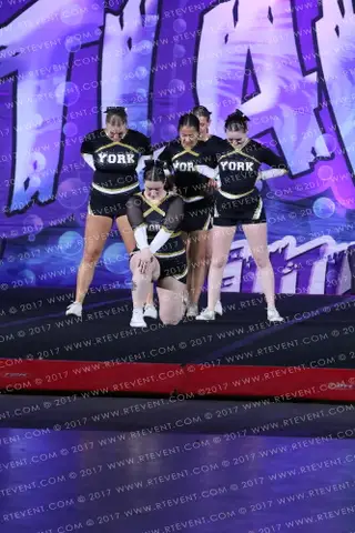 York Hornets Venom