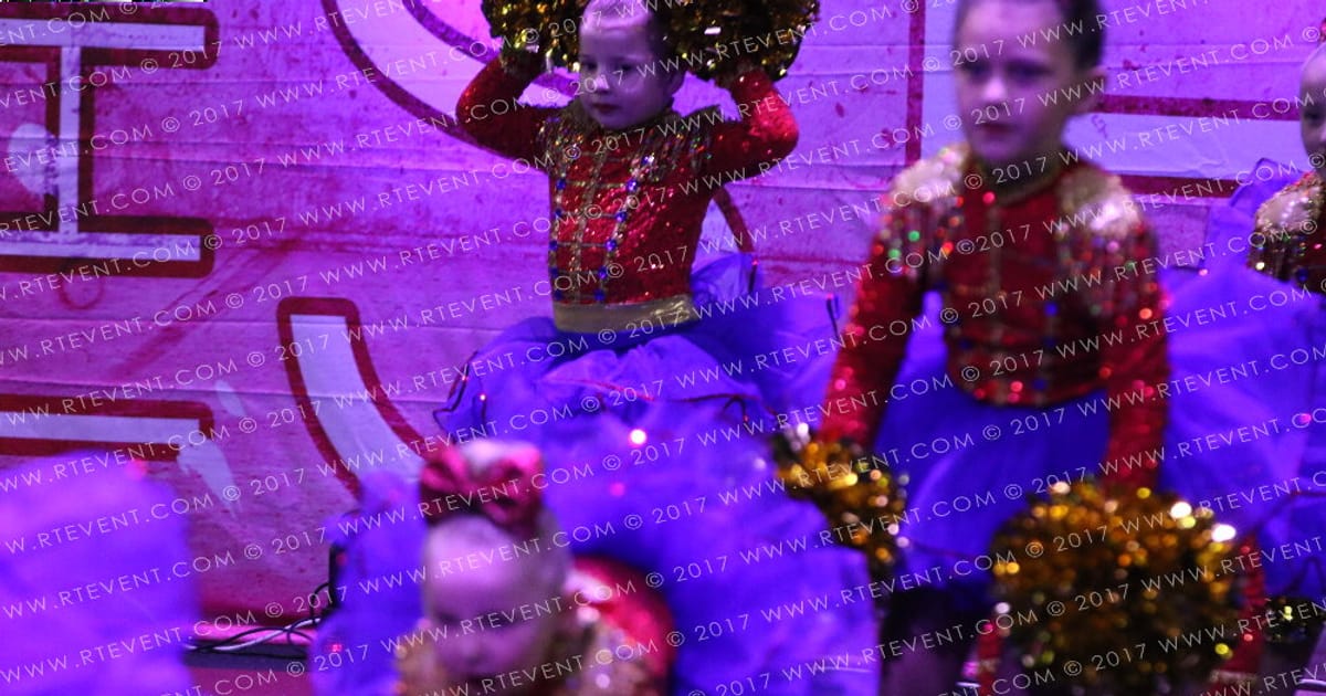 Theatre Crazy Cats Tiny Pom · Steel the Show