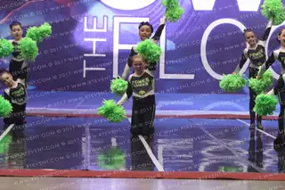 Power Cheer Sonic