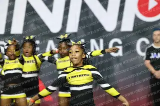 PANTHERS ELITE KITTIES
