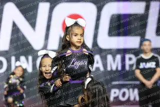 LEGACY ELITE FANTASY
