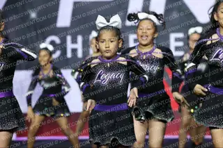 LEGACY ELITE DYNASTY