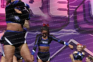 Wild Spirit Allstars Mystic