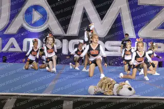 ROSEVILLE JR TIGERS PEEWEE