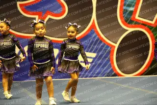 Top Dawg Cheer & Tumbling Wild Things