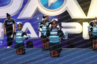 CDT ROYALS
