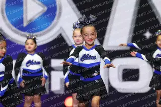 CHINO COLTS TINY MITE