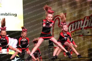 Flipping Out Tumbling Snake Eyes