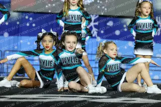 Wylie Elite Starlight