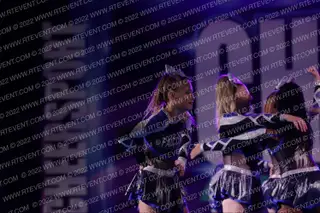 Falcons Elite Shade