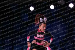 Maine Stars Flawless