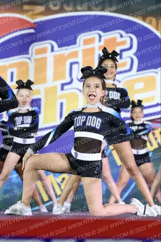 Florida Top Dog All Stars Wild Ones-Lakewood Ranch
