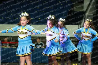 EL SERENO STALLIONS GREMINS