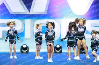 THE CALIFORNIA ALLLSTARS TINY BULLETS