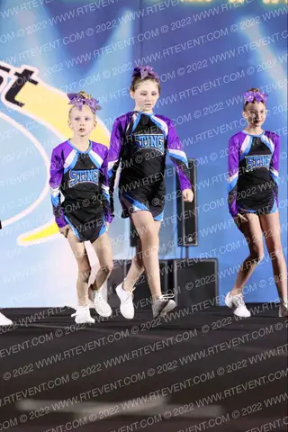 Sting Hornets