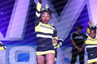 PANTHERS ELITE KITTIES