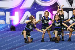 ROYAL STORM ELITE MINI MAFIA