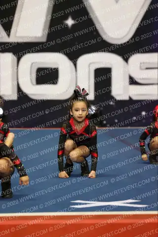 STEEL ALLSTARS TINY TINS