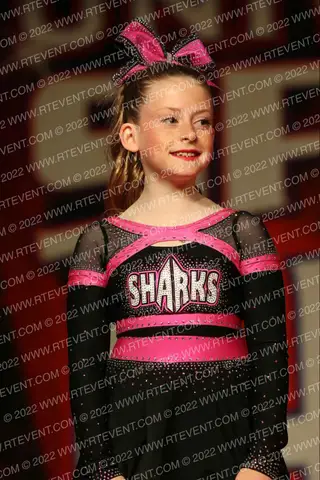 Savannah Sharks Bull Sharks
