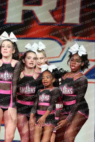 Savannah Sharks Blacktips