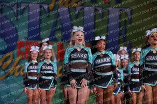 Florida Elite Sharks Great White