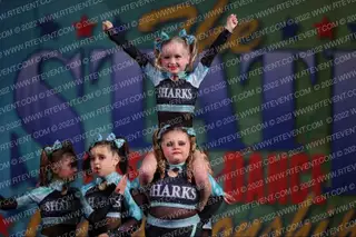 Florida Elite Sharks Hammerheads